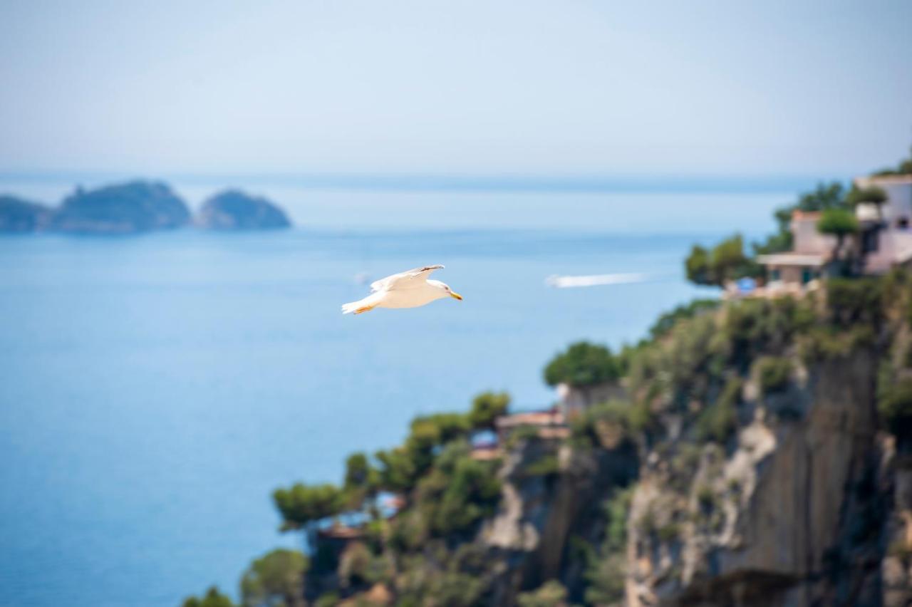 Casa Caprile Positano Bed and Breakfast Eksteriør billede